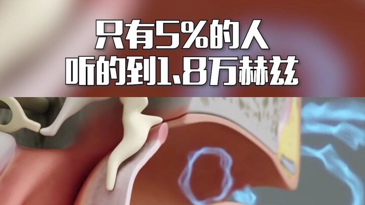 Only 5% of People Can Hear 1.8 kHz _ 2021.1.27