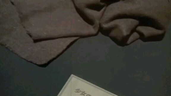 Memories Of Attack on Titan