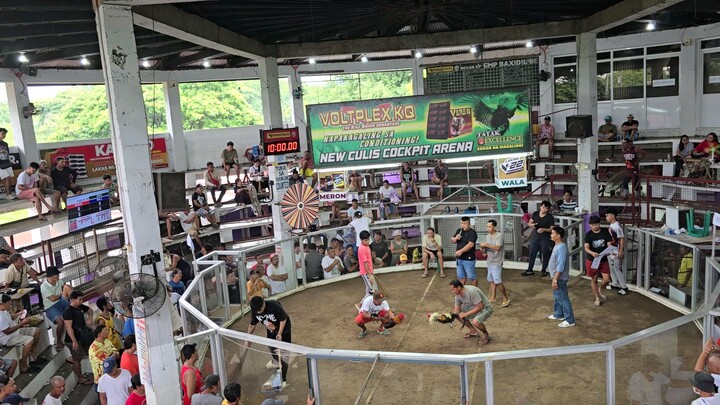 2 hits ulutan culis arena