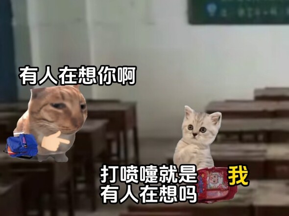 打喷嚏时，是谁在想我#猫meme小剧场#真实还原#回忆#童年