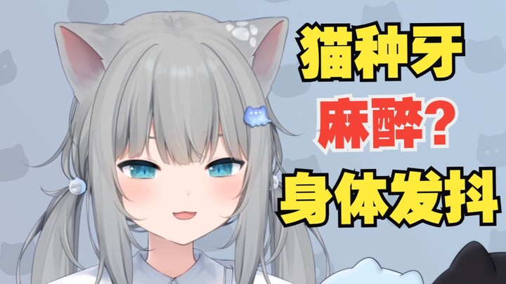甘城猫猫被种牙..身体发抖！螺丝..想想就痛