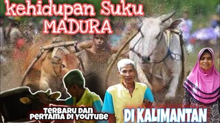 Kehidupan Suku Madura' di Kalimantan ❗❗ 'kami bahagia hidup bersama di sini'