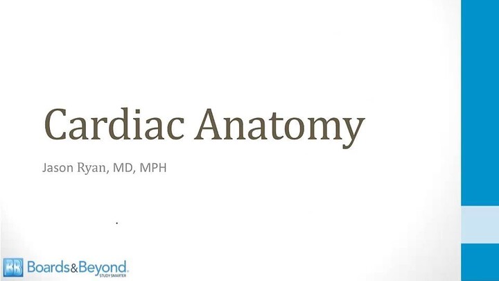 Cardiology - 1. Anatomy and Physiology - 1. Cardiac Anatomy - Boards and Beyond BNB