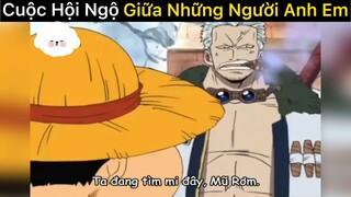 Cuộc hội ngộ giữa những người ae