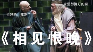 What if Voldemort lost his memory...