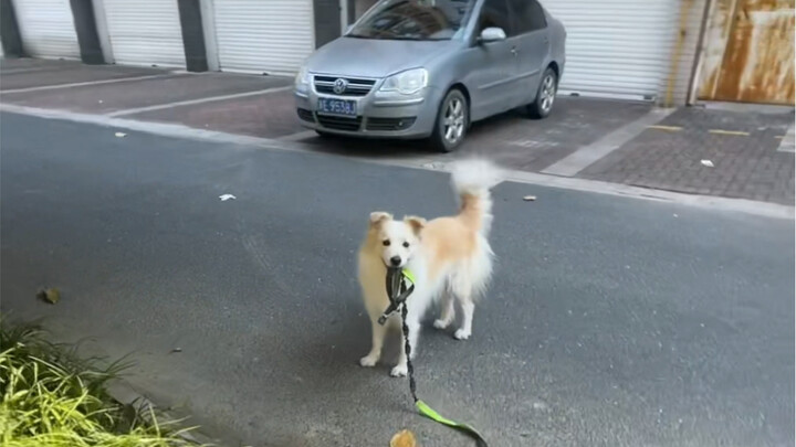 Chen Bella is a pretty little girl, so she must develop the good habit of keeping things tidy—she ca
