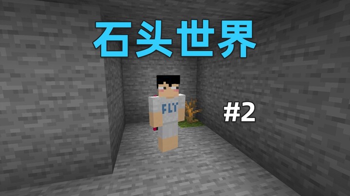 The whole world is made of stone! How do you get water? MC Stone World 2