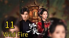 11  野火Yěhuǒ [Wild Fire].... ❤️🔥
