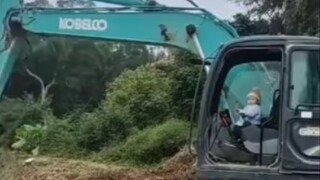 Saya selalu menganggap anak orang lain adalah bahan tertawaan, sampai saya bertemu dengannya.