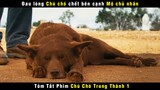 [Review Phim] Nghẹn Ngào Chú Chó Được Người Dân Nước Úc Đúc Tượng | Josh Lucas