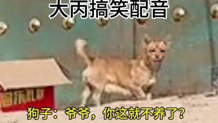 狗子：爷爷，你这就不养了？