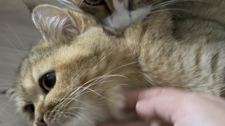 90,000 is being snubbed.