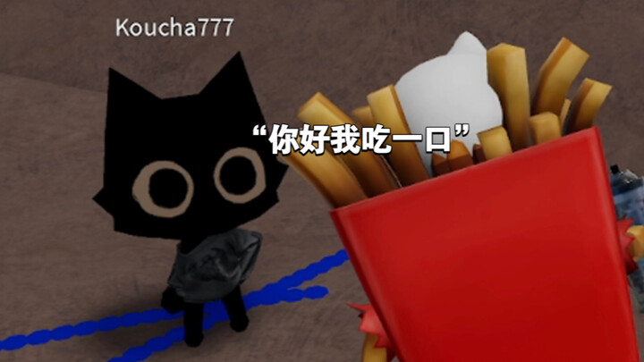 Cute kitten, beautiful graffiti, ta who loves to do math problems