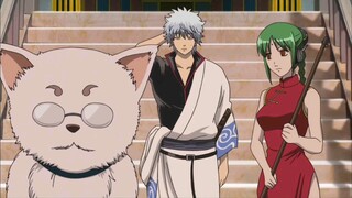 [Gintama] Tiga puluh satu adegan lucu (sumber 253-254)