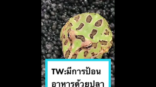 หน้าตาอาจไม่ละมุน แต่ห่วงใยคุณยิ่งกว่าประกันภัย