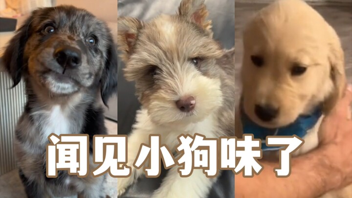 Watch this video with a blood pack ready!!!