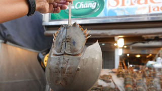 Thức ăn đường phố Thái Lan - Cua móng ngựa | Street Food