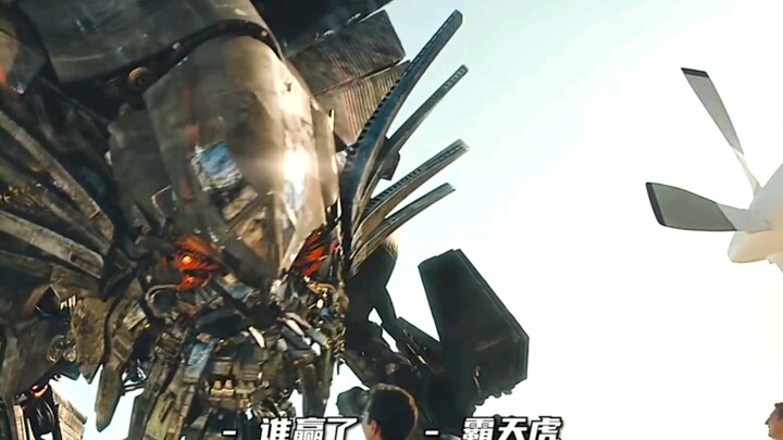 变形金刚中天火属于什么等级