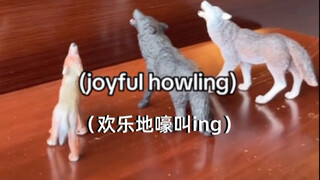 嗷呜嗷呜嗷呜～