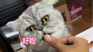 Go to the market to buy chicken breast for Mom