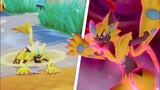 Zeraora Expectation Vs Reality | Pokemon unite