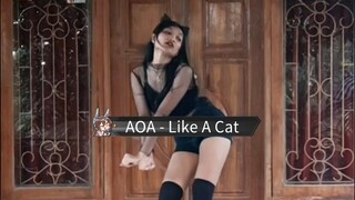 AOA - Like A Cat [Dance Cover by Kris Monita]