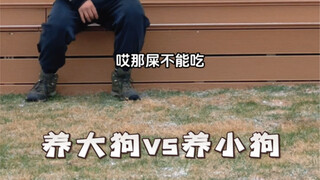 养大狗vs养小狗。