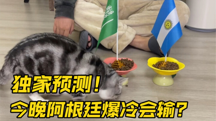 هذه المرة نغير إلى القط! الليلة أراهن بكل شيء: الأرجنتين تخسر أمام السعودية.