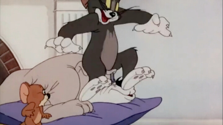 Tom gets beaten everyday
