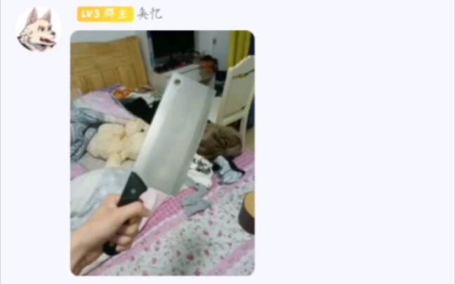 Chào mọi người, mình là Dao Rau của Shiyi, mình chính thức gia nhập Bilibili rồi đấy!