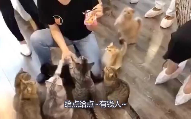 [Embarrassing Qin Miaomiao] It’s 2021—could some wealthy folks spare a little something for the hobo