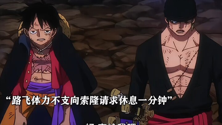 Inilah rasa aman bagi Zoro, ya