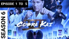 COBRA KAI SEASON 6 EPISODE 1 TO 5 IN HINDI, LATEST ACTION THRILLER SERIES 2024 🔥🔥💀💀🍿🍷🍷🔥💀🔥