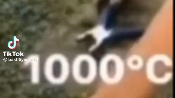 Bruh💀