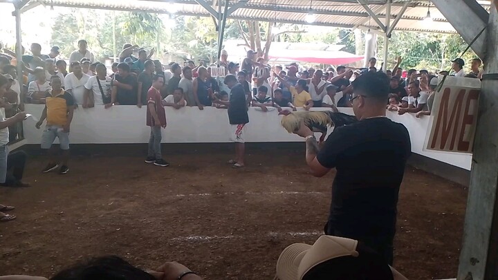 pildi MN c idol doyet L.