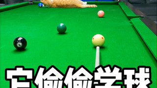 شياو جويزي تشاهد السنوكر