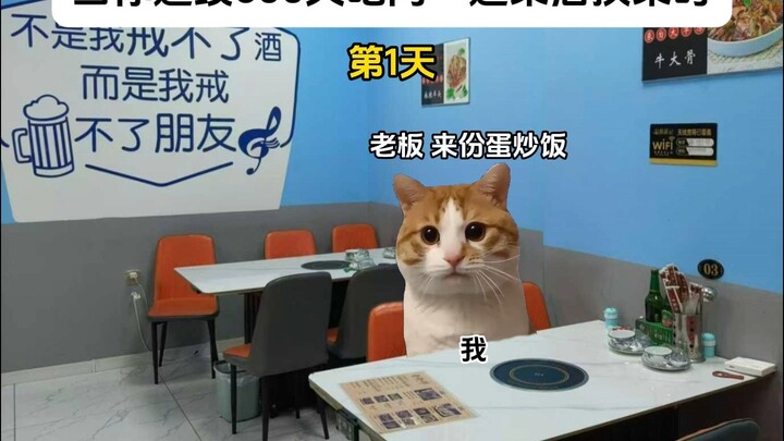 When You Switch Dishes After Eating the Same Meal for 600 Consecutive Days