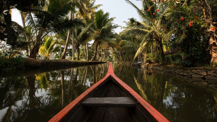 Best places to visit at Kerala India