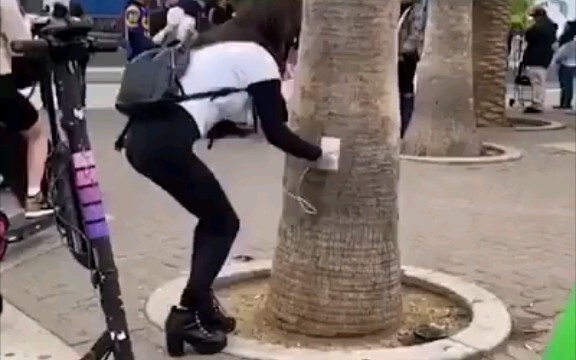 นักหลอกลวงชาวต่างชาติ