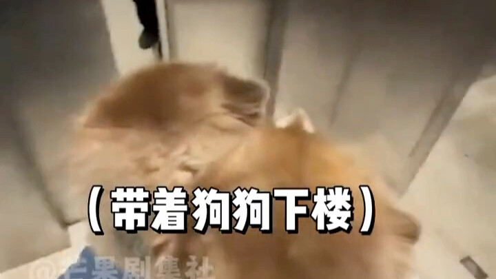 الصغيران فعلاً مطيعان جدًا، وخالتهم كذلك!