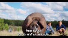 Du hí cùng Zac Efron (Phần 2) EP 02 [Sub Việt]