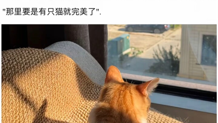 He really did discover that place.