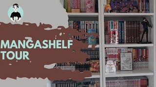 MANGASHELF TOUR 2022 | +500 tomos