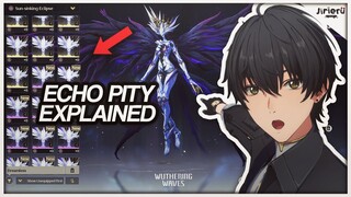 ECHO PITY IS REAL! EXPLAINED AND SHOWCASED! | Wuthering Waves