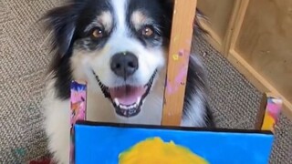 Secret, the Australian Shepherd who became famous for his high IQ, died of cancer this year. Let's r