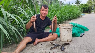 Còn Kha Béo, Ku Minh vẩn có thành quả. Cá lóc hấp hành bún nước mắm - Bin Đen Miền Tây # 297