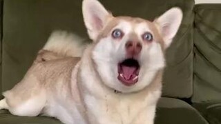 😂😂😂😂🐰😂😂😂😂