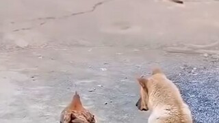 I looked☺️🤣😂