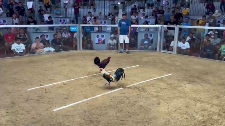 2 Combo Derby Champion @ Igpit Arena Using Cardinal Kelso