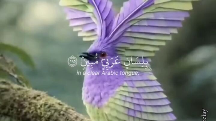 Quran tilawat